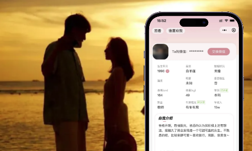 交友恋爱小程序构建案例